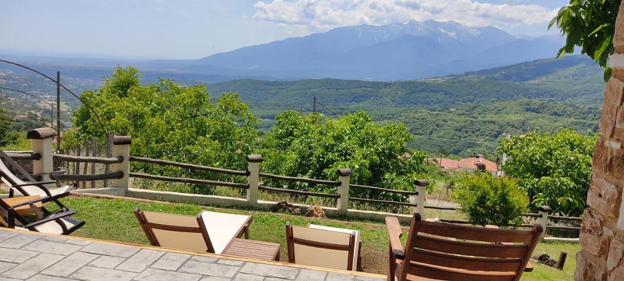 Dimitra'S Villas Элатохори Экстерьер фото