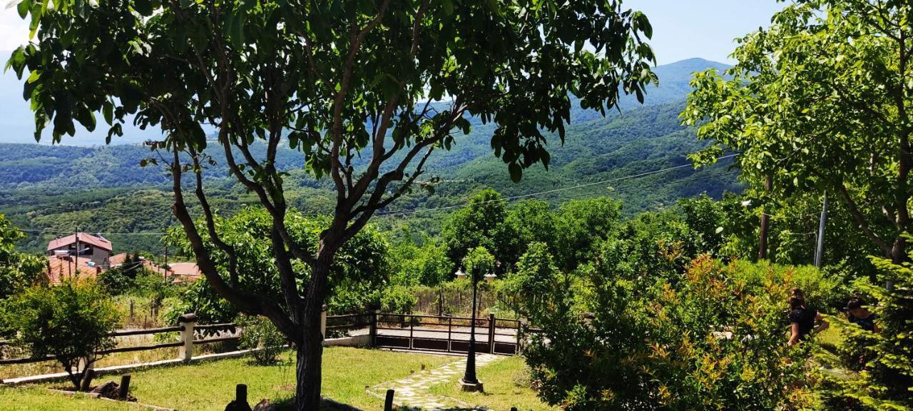 Dimitra'S Villas Элатохори Экстерьер фото
