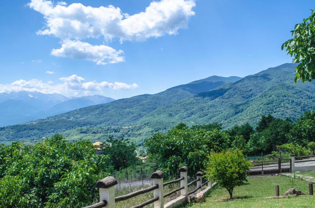 Dimitra'S Villas Элатохори Экстерьер фото