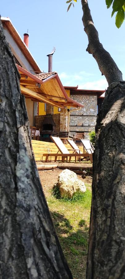 Dimitra'S Villas Элатохори Экстерьер фото