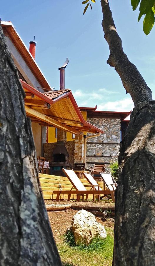 Dimitra'S Villas Элатохори Экстерьер фото