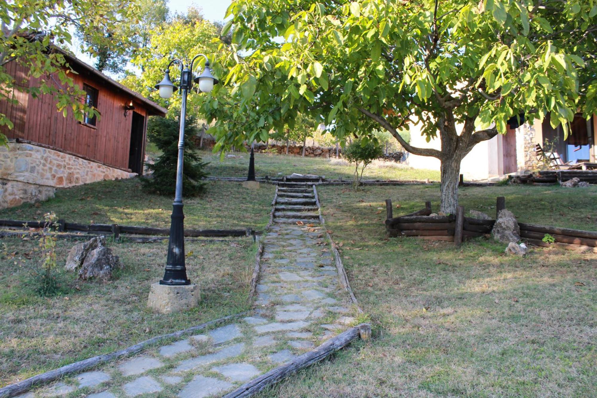Dimitra'S Villas Элатохори Экстерьер фото