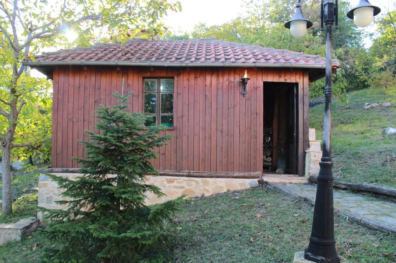 Dimitra'S Villas Элатохори Экстерьер фото